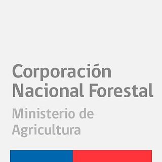 National Forest Corporation (Chile) government agency