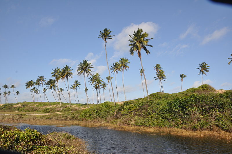 File:Costa Coqueiros - Arembepe - rio.jpg