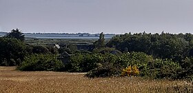 Coteau Guérande à Clis donnant sur le domaine de Kersalio. Le Traict du Croisic et le parc éolien en mer de Saint-Nazaire sont visibles en arrière-plan.