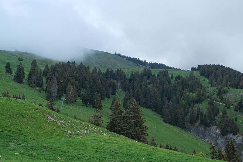 File:Crêt de Châtillon @ Montée le long du Téléski de l'Aigle @ Semnoz (51230136077).jpg