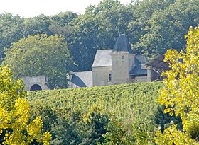 Havainnollinen kuva artikkelista Château de Cravant