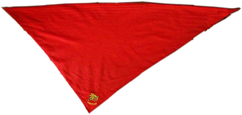 File:Cumberland Gang Show, New South Wales neckerchief.jpg