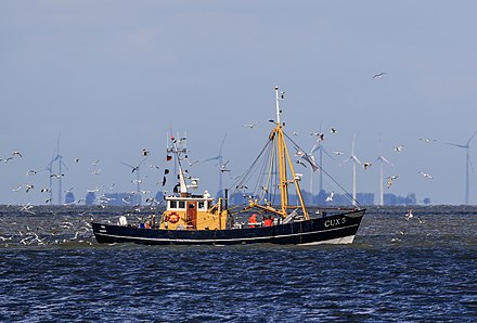Cuxhaveni rajtaütés