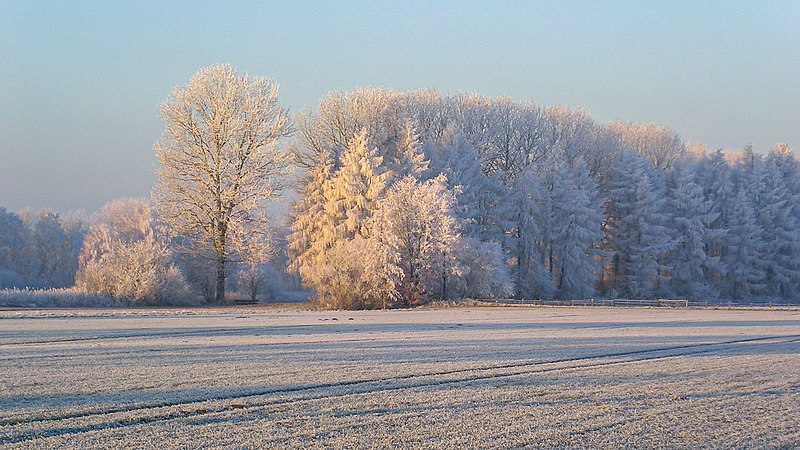 File:Dülmen, Kirchspiel, Börnste, Winterlandschaft -- 2007 -- 4401.jpg