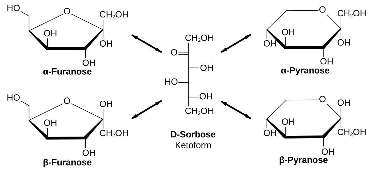 structure beta l fructose File:D Sorbose   Pyranose Keto Wikimedia Furanose.svg Commons