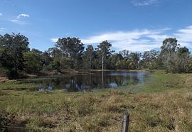 Dam at Karrabin Queensland.jpg