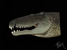 Dentaneosuchus crassiproratus.png