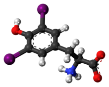 Zwitterion olarak diiyodotirozin molekülünün top ve çubuk modeli