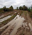 Русский: Просёлочная дорога в Арзамасском районе Нижегородской области, Россия.