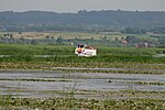 Vignette pour Lac Drużno