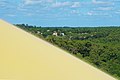 Le versant est de la dune du Pilat avec la pinède de la Teste-de-Buch et quelques maisons du Pyla-sur-Mer.