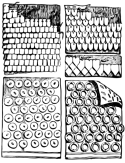 Examples of early armour construction. The lower right section is an example of ring armour. Early coats of mail * HHWVII69.svg