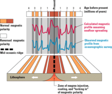 The observed magnetic profile for the sea floor around a mid-oceanic ridge agrees closely with the profile predicted by the Vine-Matthews-Morley hypothesis. East Pacific Rise seafloor magnetic profile - observed vs calculated.png