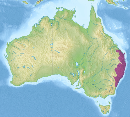 Diskriminere springe Fremtrædende Eastern Australian temperate forests - Wikiwand