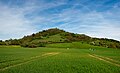 * Nomination The Einkorn in the borough of Schwäbisch Hall, seen from the west --Milseburg 11:28, 30 May 2024 (UTC) * Promotion  Support Good quality. --AuHaidhausen 18:31, 30 May 2024 (UTC)