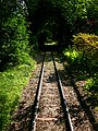 * Nomination Track of narrow gauge railway at Grugapark. Essen, NRW, Germany --Basotxerri 16:18, 5 July 2018 (UTC) * Promotion  Support Good quality. --Ermell 18:58, 5 July 2018 (UTC)