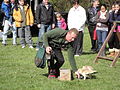 A falconry display taking place at Havenstreet railway station, Isle of Wight, for the Bustival 2012 event, held by Southern Vectis. The falconry display was put on by Haven Falconry who also attended the event allowing visitors to hold the birds.