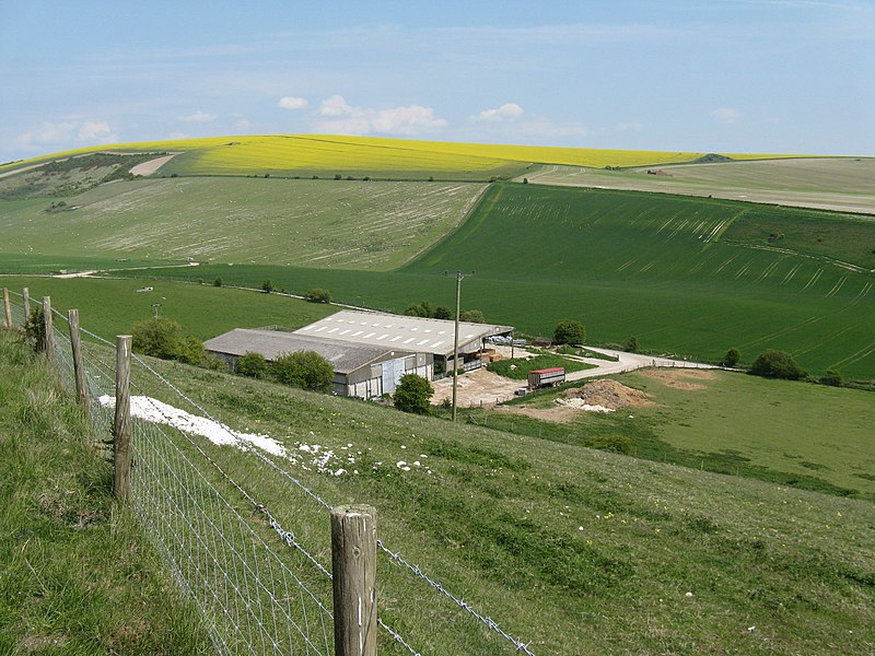 File:Farm near Balsdean pumping station - geograph.org.uk - 1864401.jpg