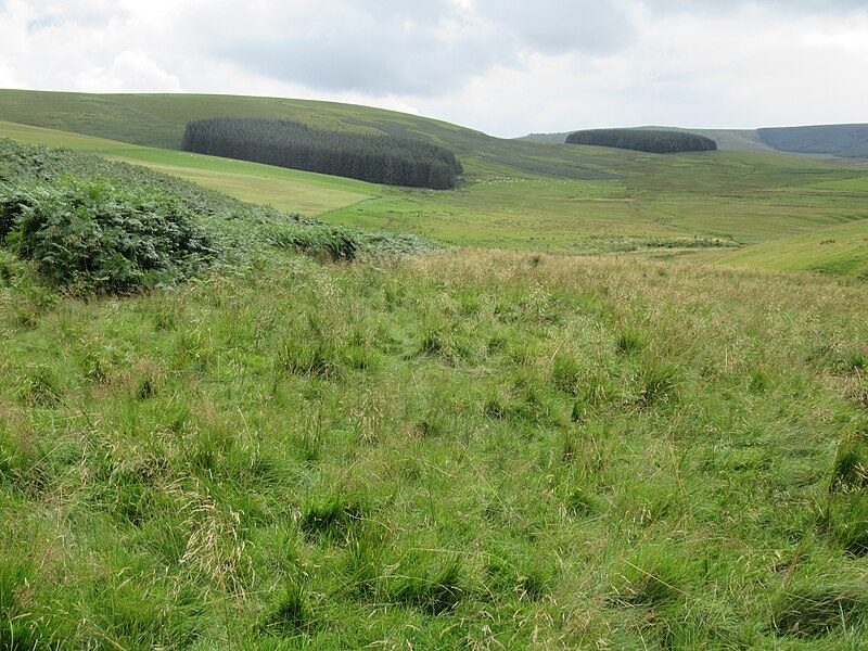 File:Farming in the Scottish Borders uplands at Nether Hindhope - geograph.org.uk - 6242761.jpg