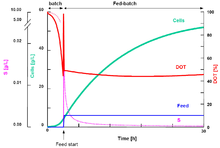 The graph shows the principle of a substrate limited fed-batch cultivation with an initial batch phase. After consumption of the initial substrate a continuous and constant feed of the substrate is started. Fed batch principle.png