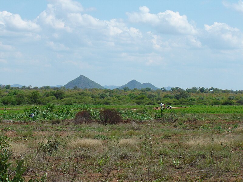 File:Filabusi farming.jpg