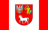 Łosice County