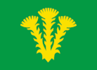Flag of Nannestad