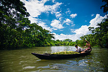 Floating market in Kuriana, Pirojpur