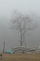 * Nomination: Boats near the lake in the fog in Wawayanda State Park --Kritzolina 00:13, 8 February 2020 (UTC) * * Review needed