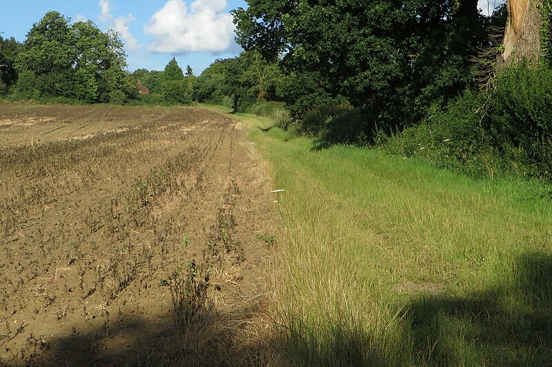 File:Footpath to Chetwode Grange - geograph.org.uk - 5038605.jpg