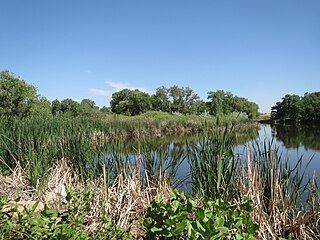 Fountation Creek Nature Center 6.JPG