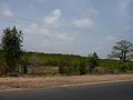 Banjul-Serekunda Highway