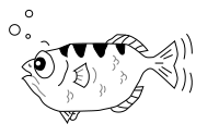 Gdb archer fish.svg
