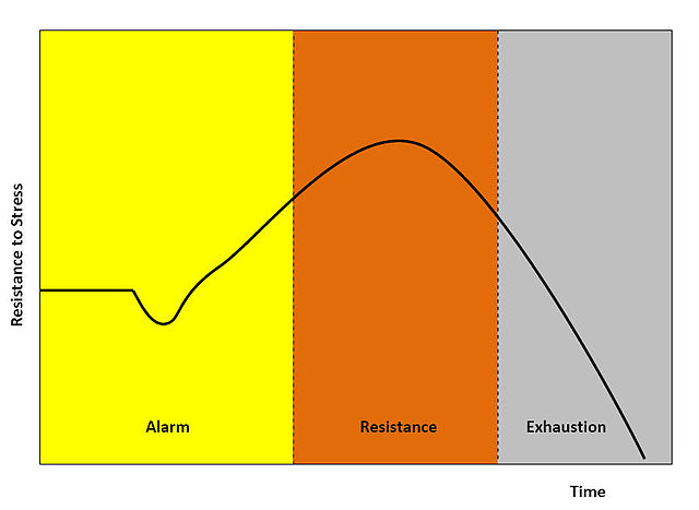 A diagram of the general adaptation syndrome model