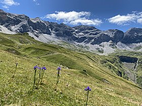 La Munia et son glacier au sein du cirque de Troumouse.