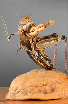 Micro miniature: grasshopper playing on the violin Grasshoper.jpg