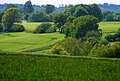 Greenscape - Flickr - Stiller Beobachter (1).jpg