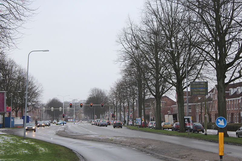 File:Groningen Bedumerweg January 2015 - 0345.jpg