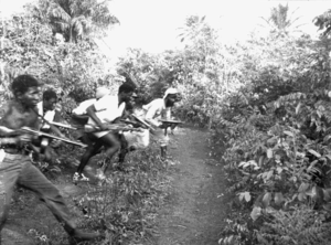 Guerrilheiros do PAIGC na ilha de Como (2).png