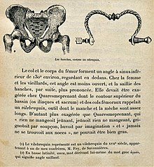 Extrait du livre Rabelais anatomiste et physiologiste avec une gravure de vilebrequin et de hanche.