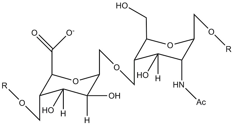 File:Heparan sulfate.JPG