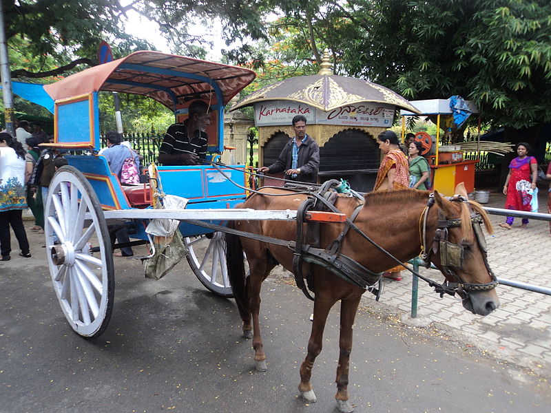 File:Horse Cart in Mysore.JPG