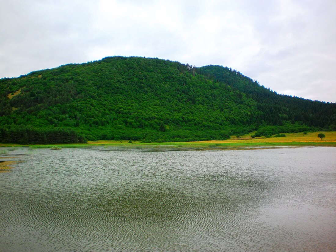 Hrast (jezero)