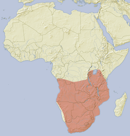 Hystrix africaeaustralis distribution map.png