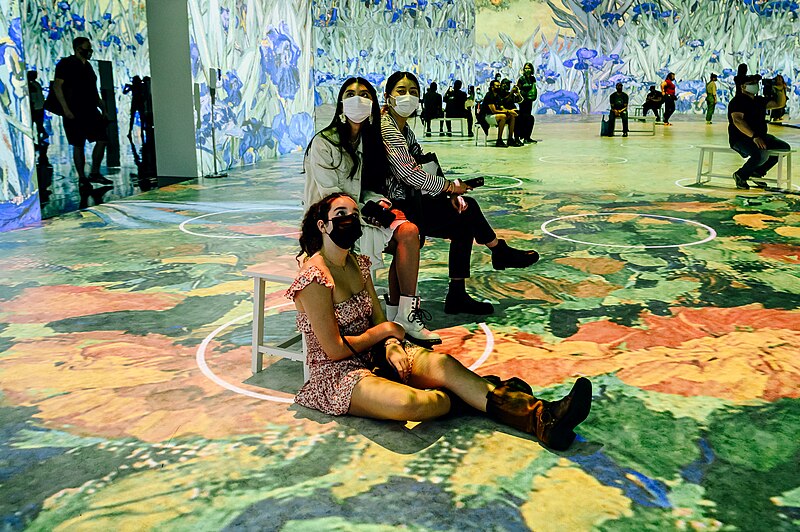 File:Immersive Van Gogh New York ExhibitN (51238143693).jpg