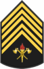 Знак отличия 1 сержант Bombeiro.PNG