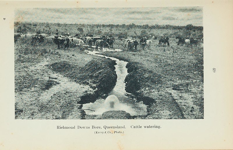 File:Irrigation with surface and subterranean waters and land drainage with special reference to the geological development and utilisation of artesian and sub-artesian supplies (Page 49) BHL42821439.jpg