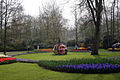 Parc floral de Keukenhof