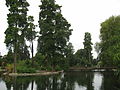 Kew Lake & Sackler Crossing