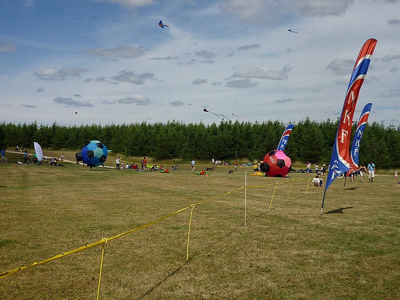 File:Kite Flying Day at Rushcliffe Country Park - geograph.org.uk - 1962588.jpg
